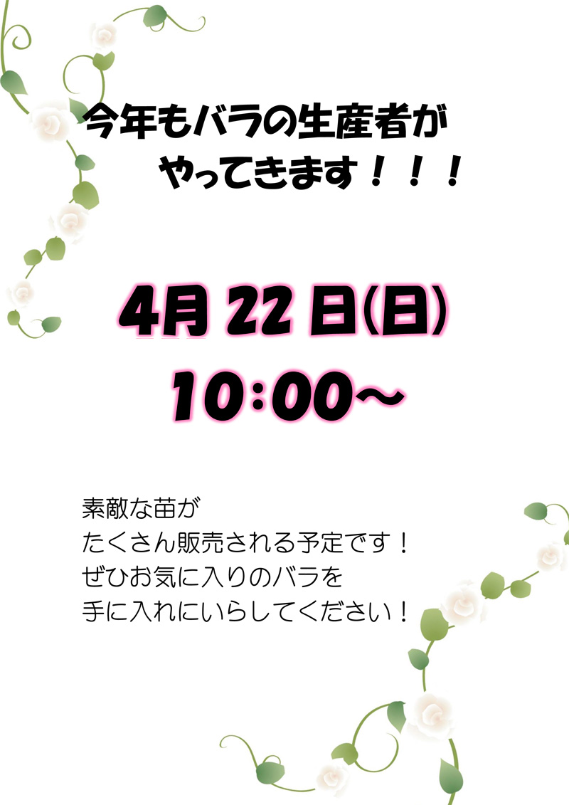 今年もバラの生産者がやってきます！