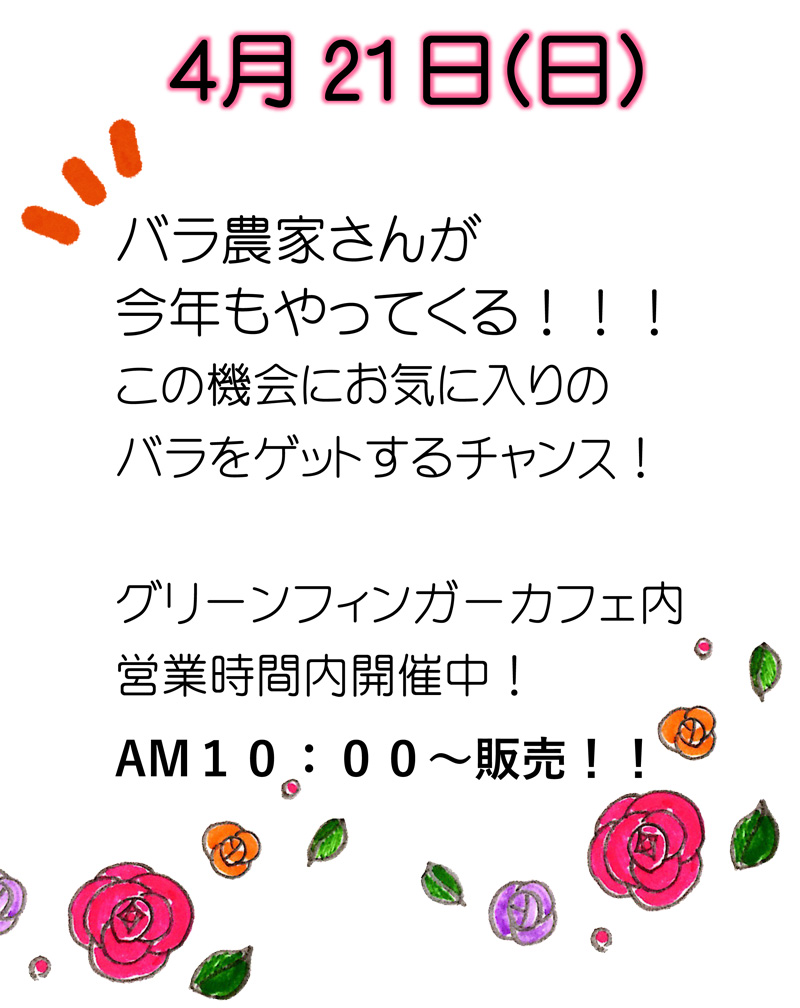 バラ農家さんが今年もやってくる!!!