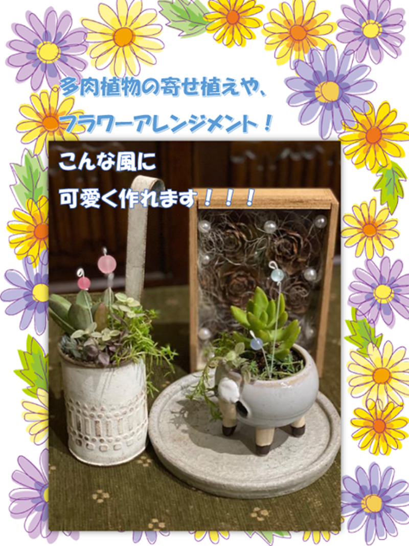 多肉植物の寄せ植えやフラワーアレンジメント！