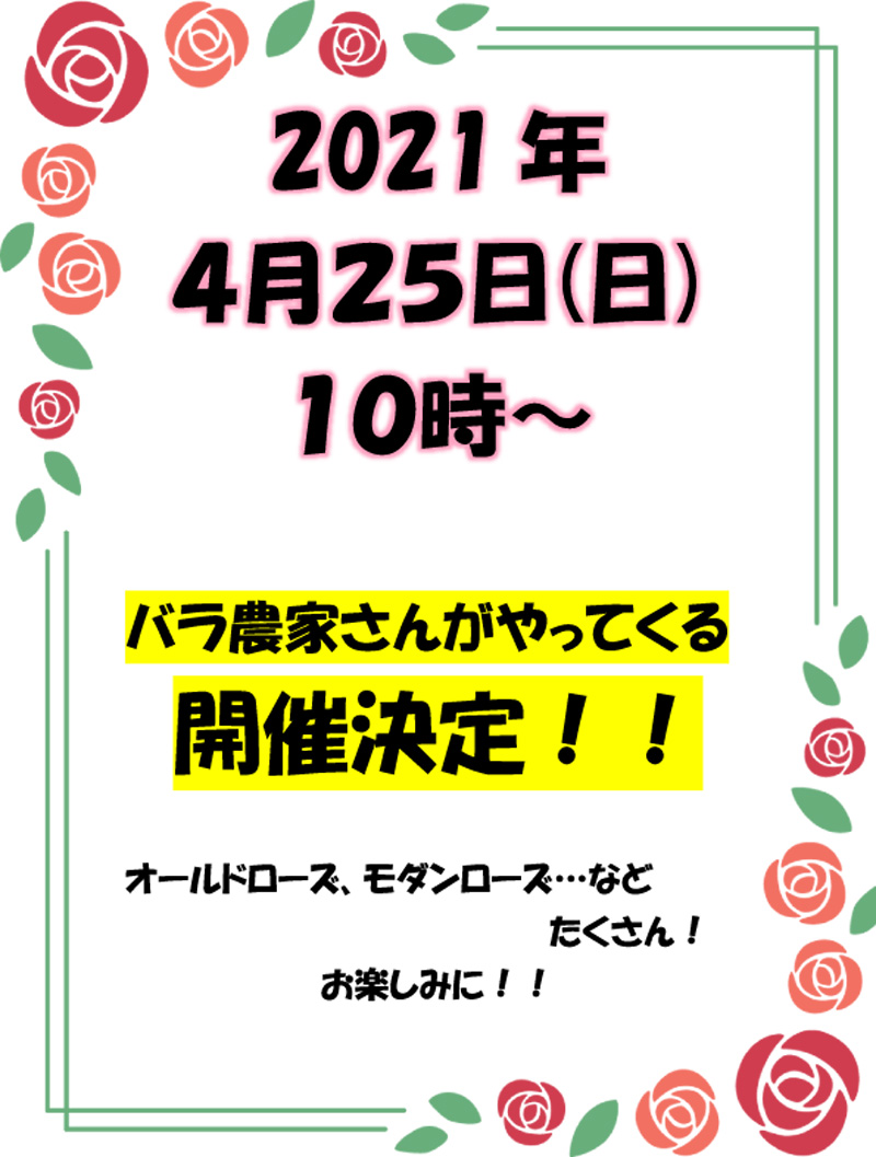 バラ農家さんがやってくる！