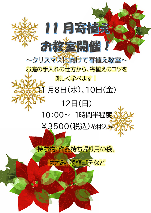 11月の寄せ植えお教室開催！