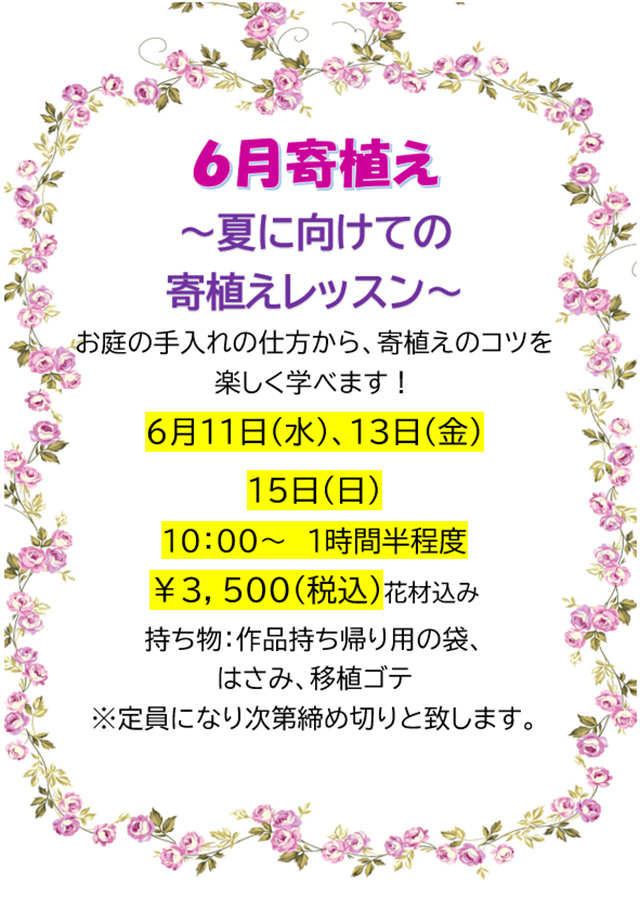 6月寄植え