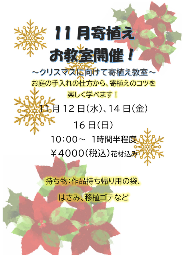 11月寄植え