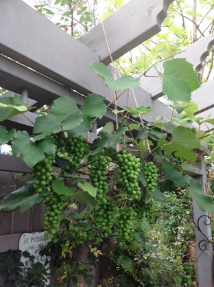 2012年7月