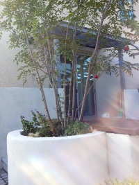 PICK UP GARDEN