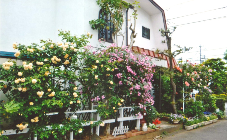 施工前バラのお庭のお写真です。