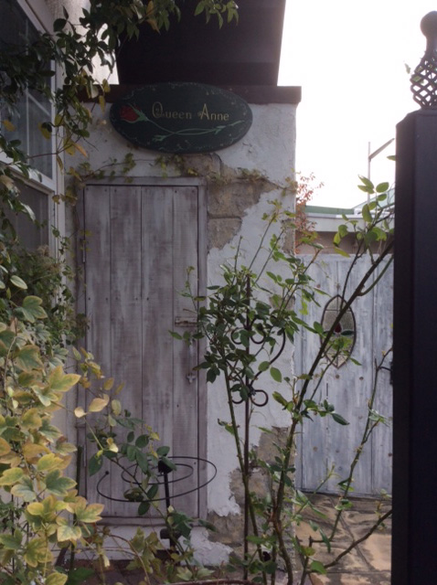 階段下にシェッドと花壇。植物も誘引されて素敵になりました。