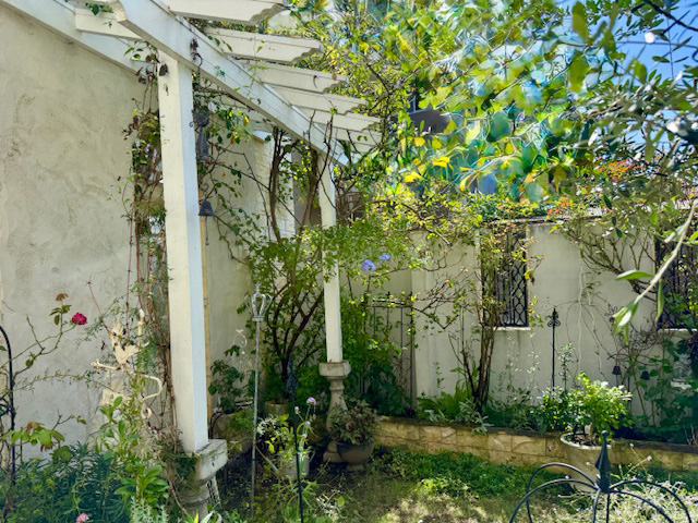 パーゴラで立体感をつけてアイスバーグの誘引に大活躍です！