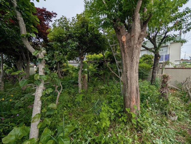 大きなテラスで完成間近…！