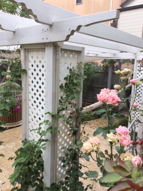 素敵なパーゴラに返り咲くバラがお庭を華やかにしてくれます。