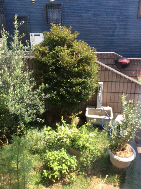 施工前のお写真です。草木も伸びて、お手入れが大変になったお庭のリフォームを行いました。