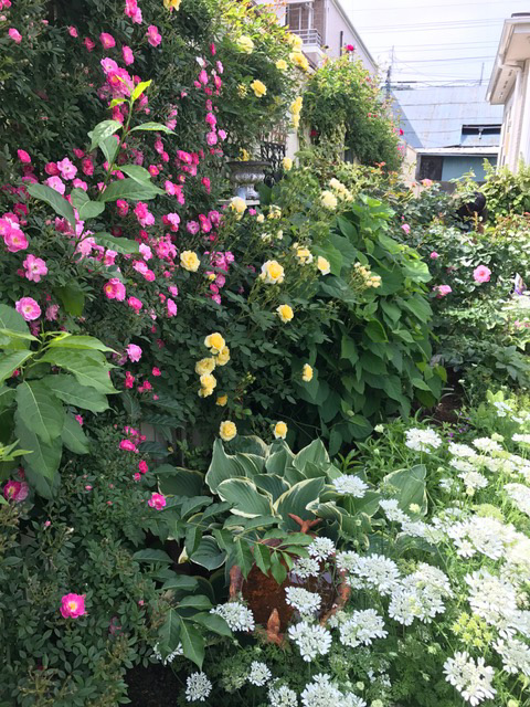 カラーやオルラヤなどの草花も沢山咲いてとても華やかです。