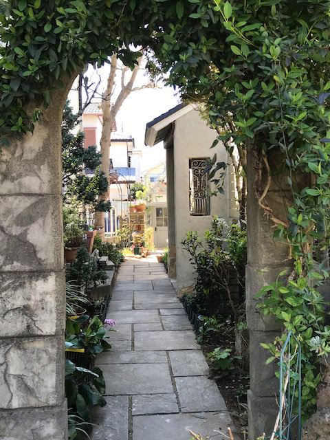 目隠しフェンス代わりの凄―い贅沢な空間が出来ました。